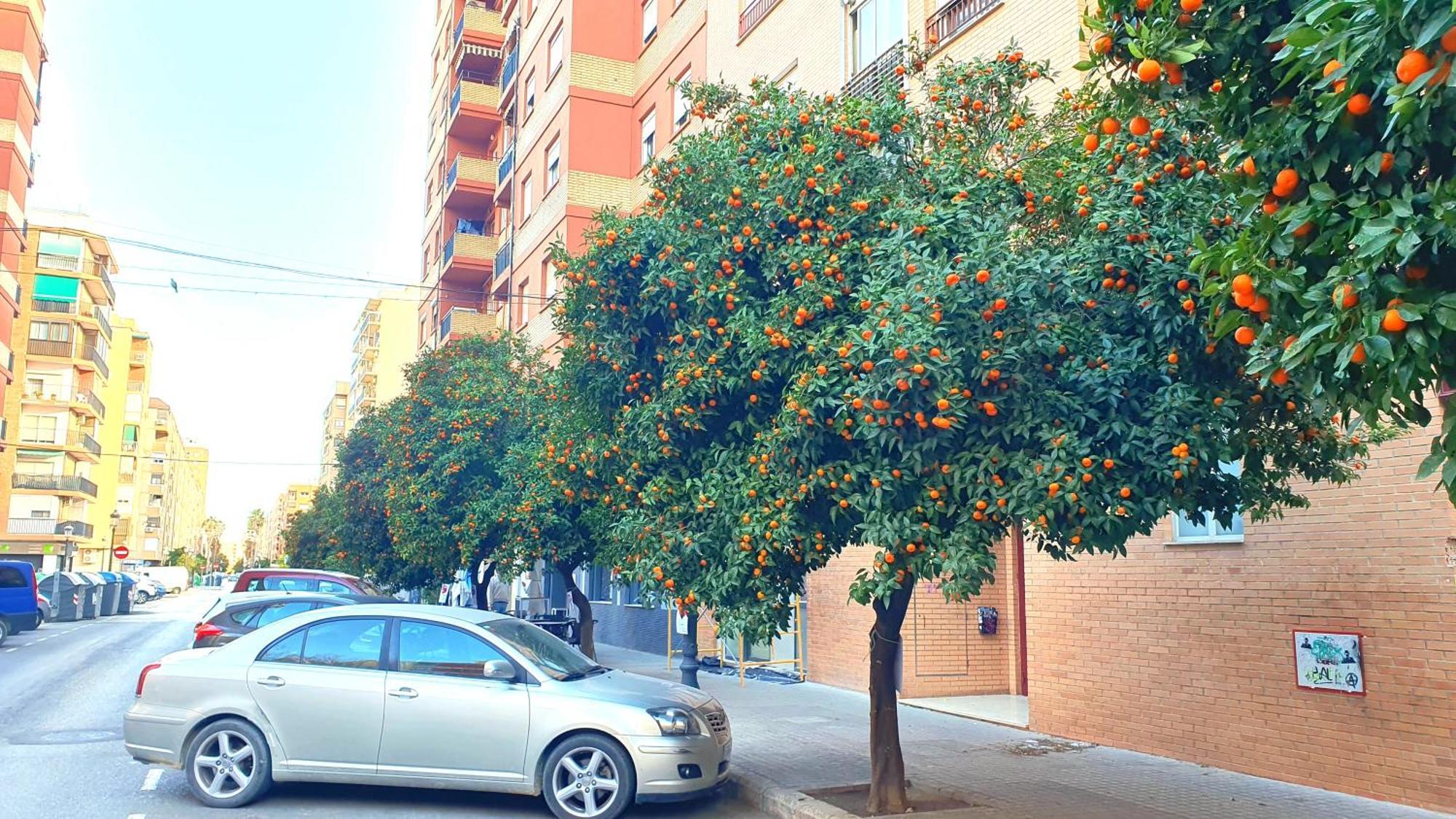 Nuevo Apartamentos Costa Del Alma บาเลนเซีย ภายนอก รูปภาพ